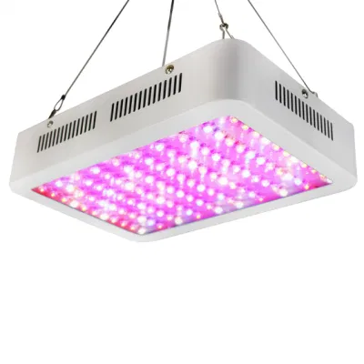Luz de cultivo LED de espectro completo de doble Chip UV IR de 1000W, lámpara de cultivo de plantas hidráulicas, hierbas, verduras y frutas para cultivo en interiores